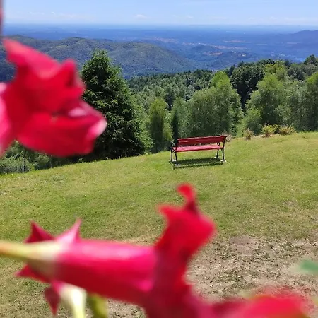 بيت خشبي Mael *