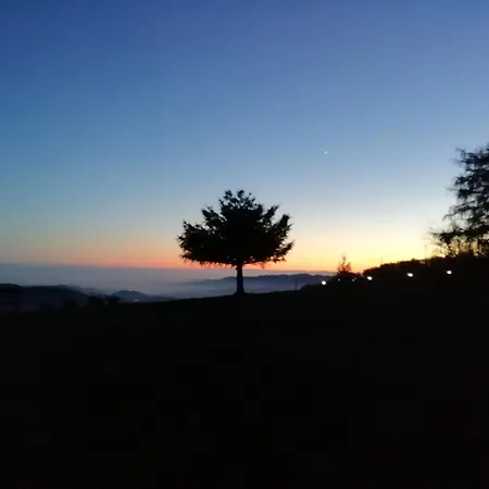 Mael بيت خشبي