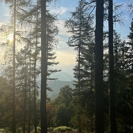 Mael بيت خشبي *