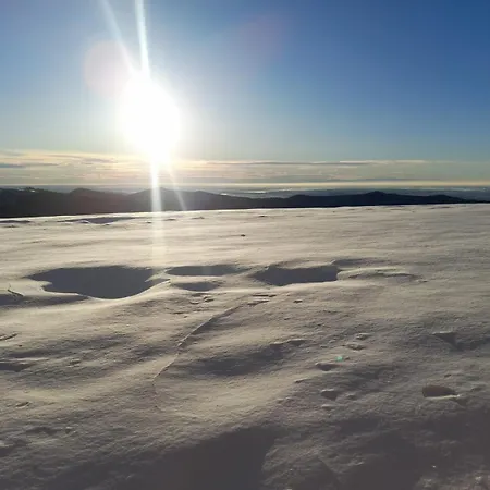 بيت خشبي Mael