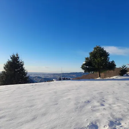 Mael بيت خشبي *